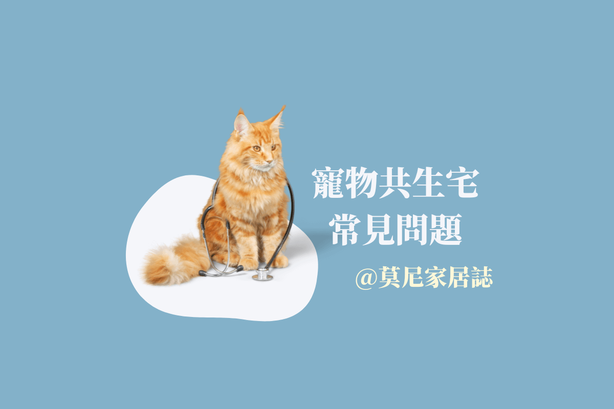 寵物共生宅常見問題：毛孩與主人的居家設計全攻略