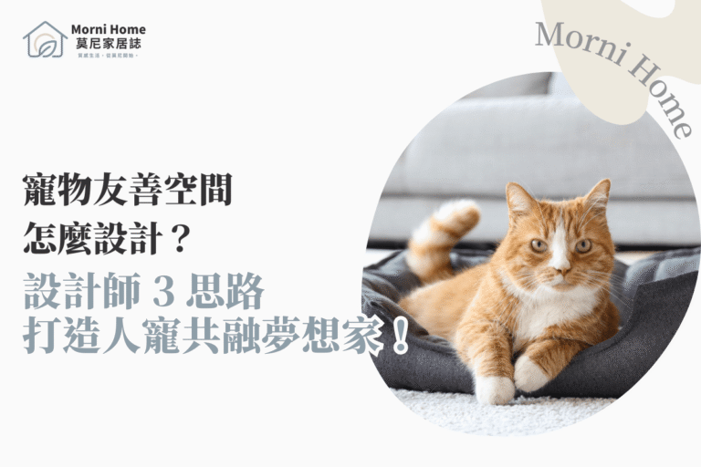 寵物友善空間怎麼改善？抓撓、休息與收納的低施工調整