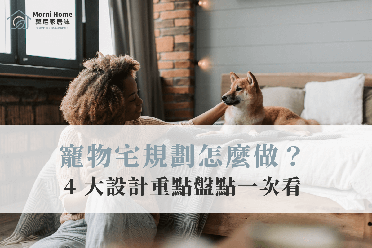 寵物宅規劃怎麼做？4 大設計重點盤點一次看
