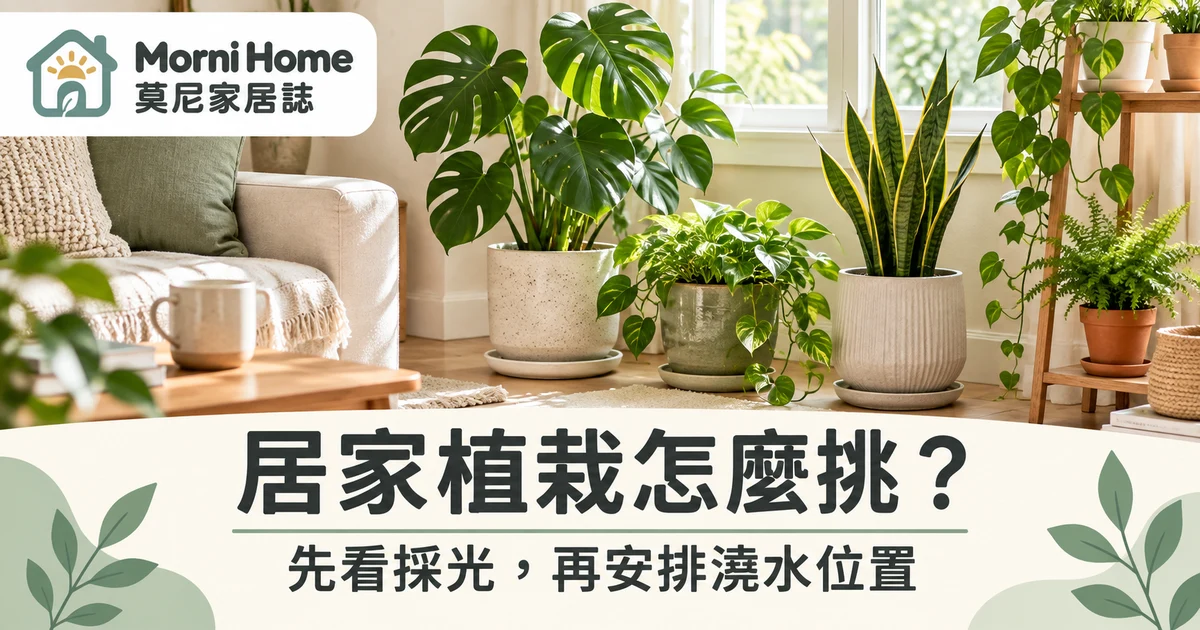 居家植栽封面，明亮客廳中的綠葉盆栽與木質家具
