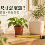 花盆尺寸怎麼選？內盆、套盆與換盆空間的判斷方法