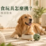 KONG狗狗漏食玩具怎麼選？Classic與Wobbler玩法比較