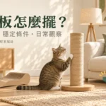 貓抓板擺放怎麼選？抓撓方向、穩定條件與日常觀察完整指南